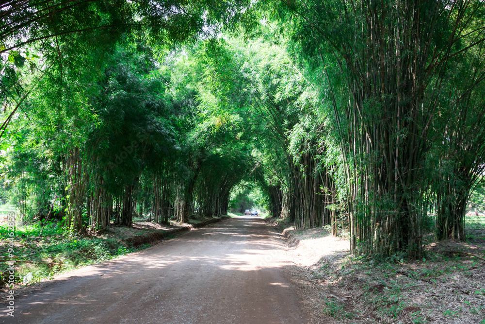 Mound Creek Road in the arid countryside of Thailand through a clump of dry dead
