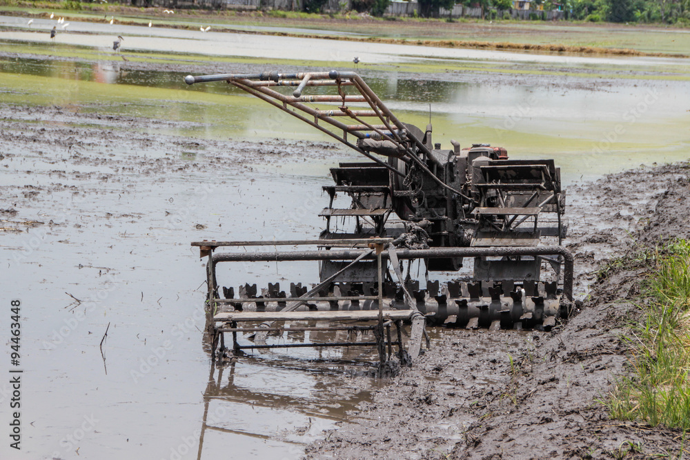Fototapeta premium tractors in the muddy paddy 