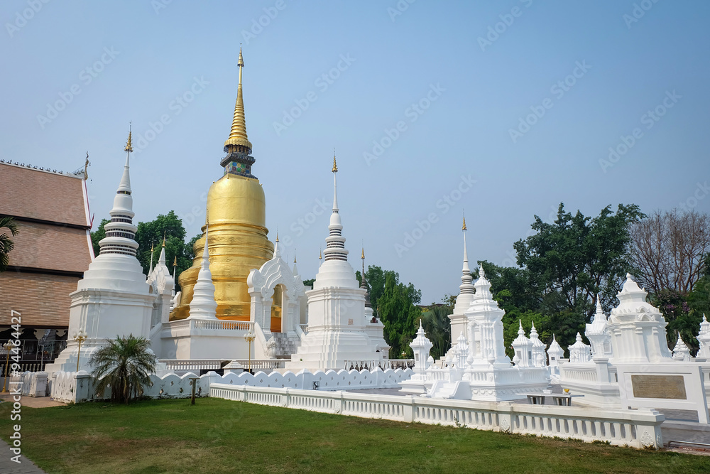 golden pagoda in wat suan dok temple, chiang mai, thailand