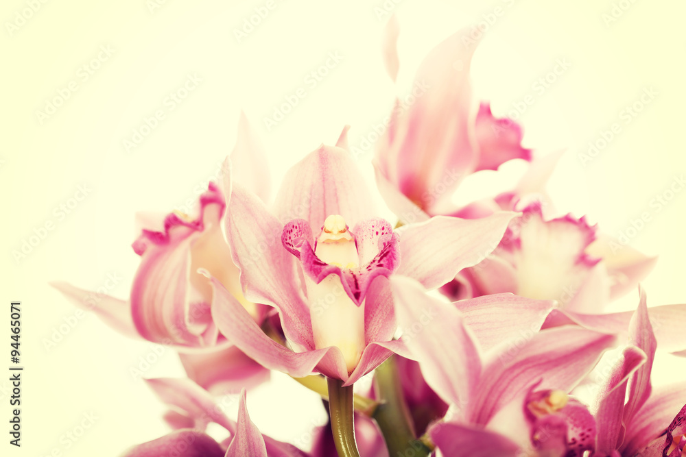 Beautiful fresh lily bouquet.