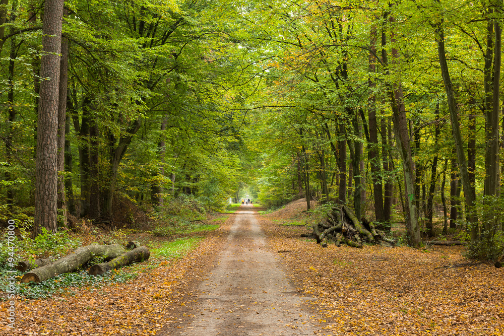 Naklejka premium Naturlehrpfad