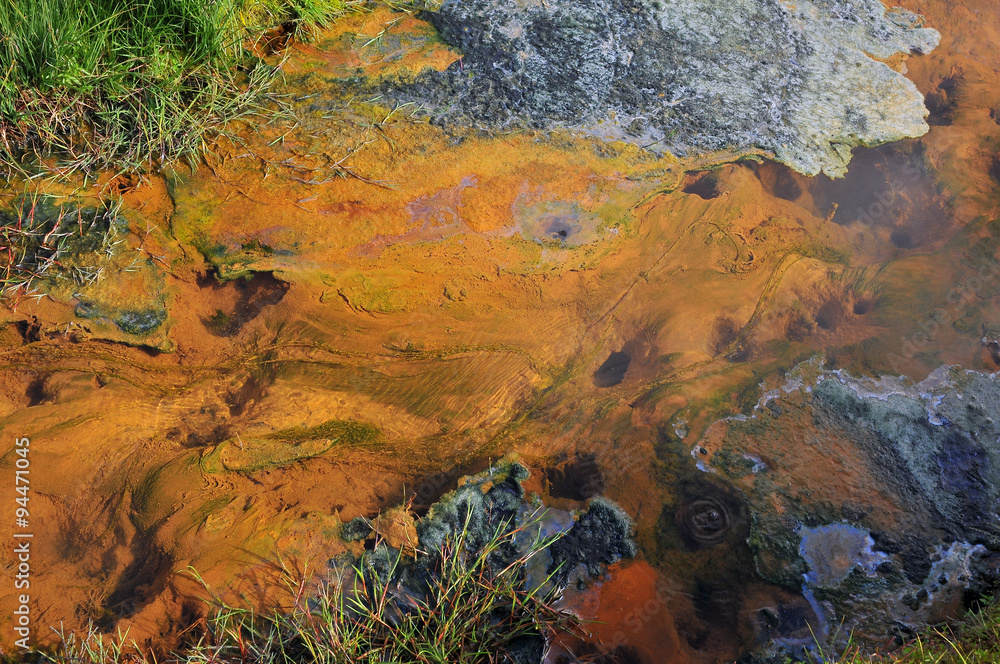 Iceland hot  river  with thermophilic algae in Landmannalaugar national park