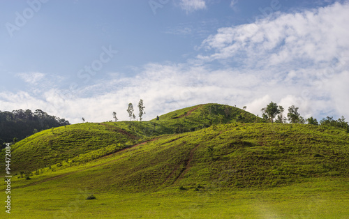 Wallpaper Mural green grass moutain in rainy season Torontodigital.ca
