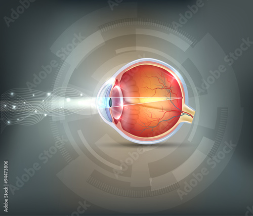 Normal eye