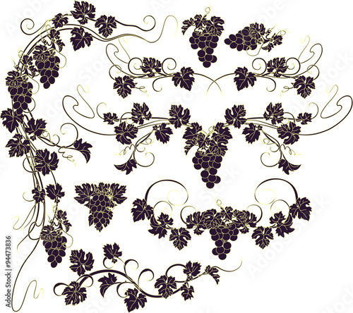 Design elements with bunches of grapes and vines in vintage style.