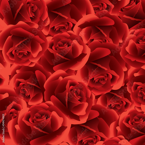 Red rose floral background.  Vector illustration