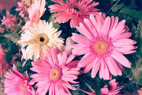 flower wedding decoration  beautiful gerbera flower blooming