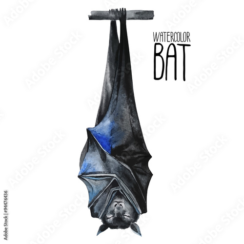Watercolor sleeping bat