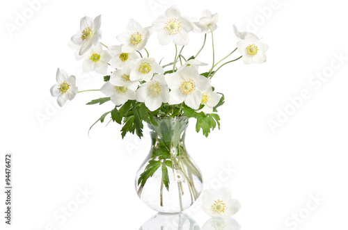 Fototapet Beautiful white anemones flowers isolated on white