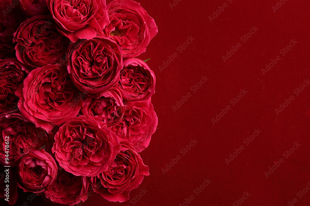 Obraz premium 薔薇