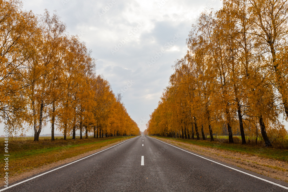 Fototapeta premium Road with fall alley