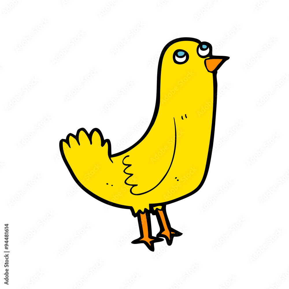 cartoon bird cartoon bird