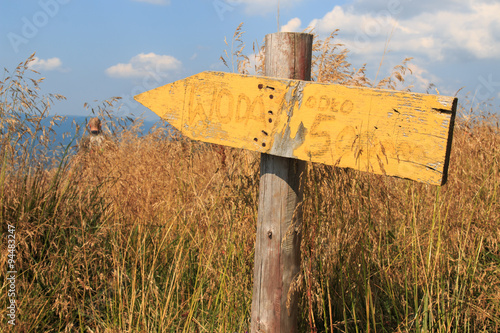 Fototapeta Naklejka Na Ścianę i Meble -  Ku wodzie