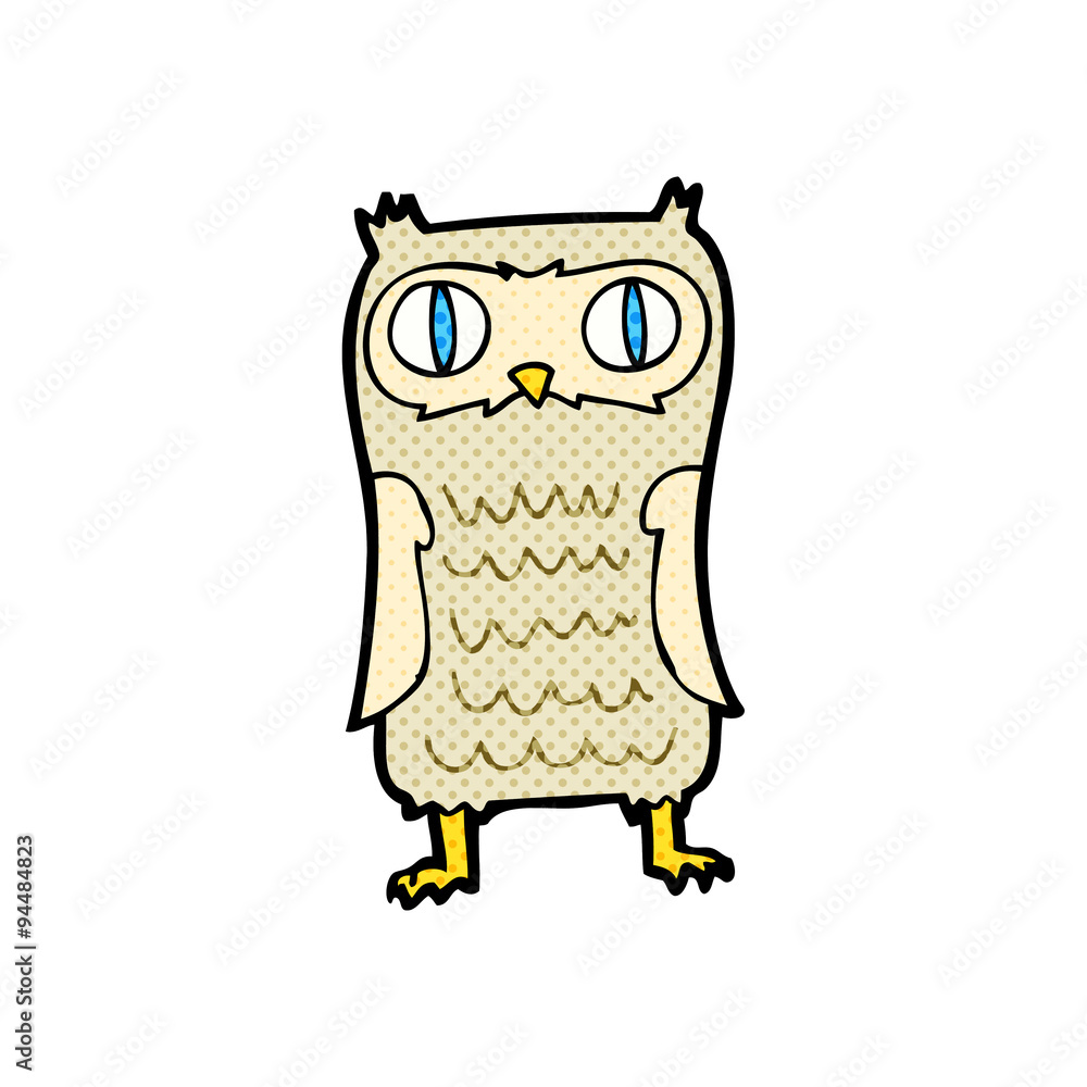 cartoon owl cartoon owl