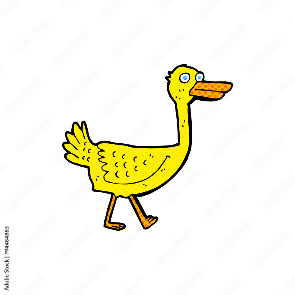 cartoon bird cartoon bird