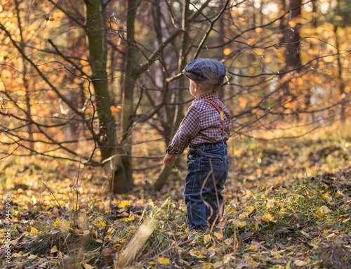 Little boy walking through autumnal forest.
