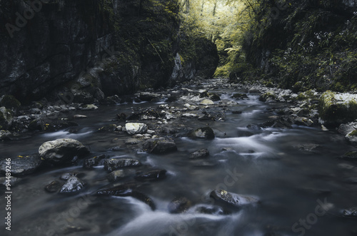 water flowing through dark ravine in autumn