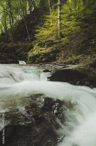 forest river