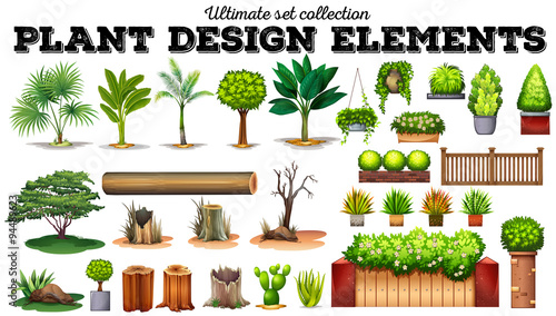 Many kind of plants