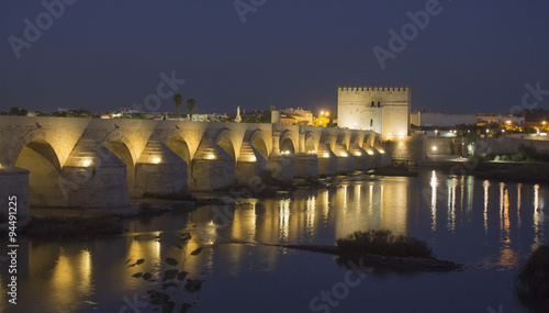 Roman bridge in Cordoba at night