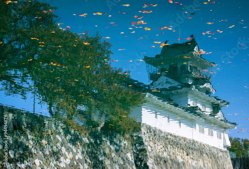湖面に映える富山城と落ち葉