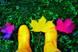 żółte kalosze liście i trawa