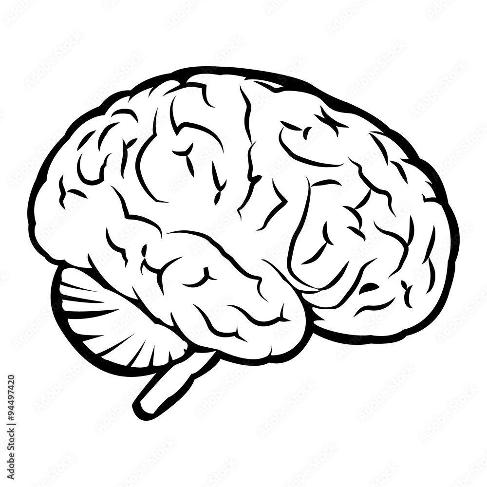 Best human brain sign Best human brain sign