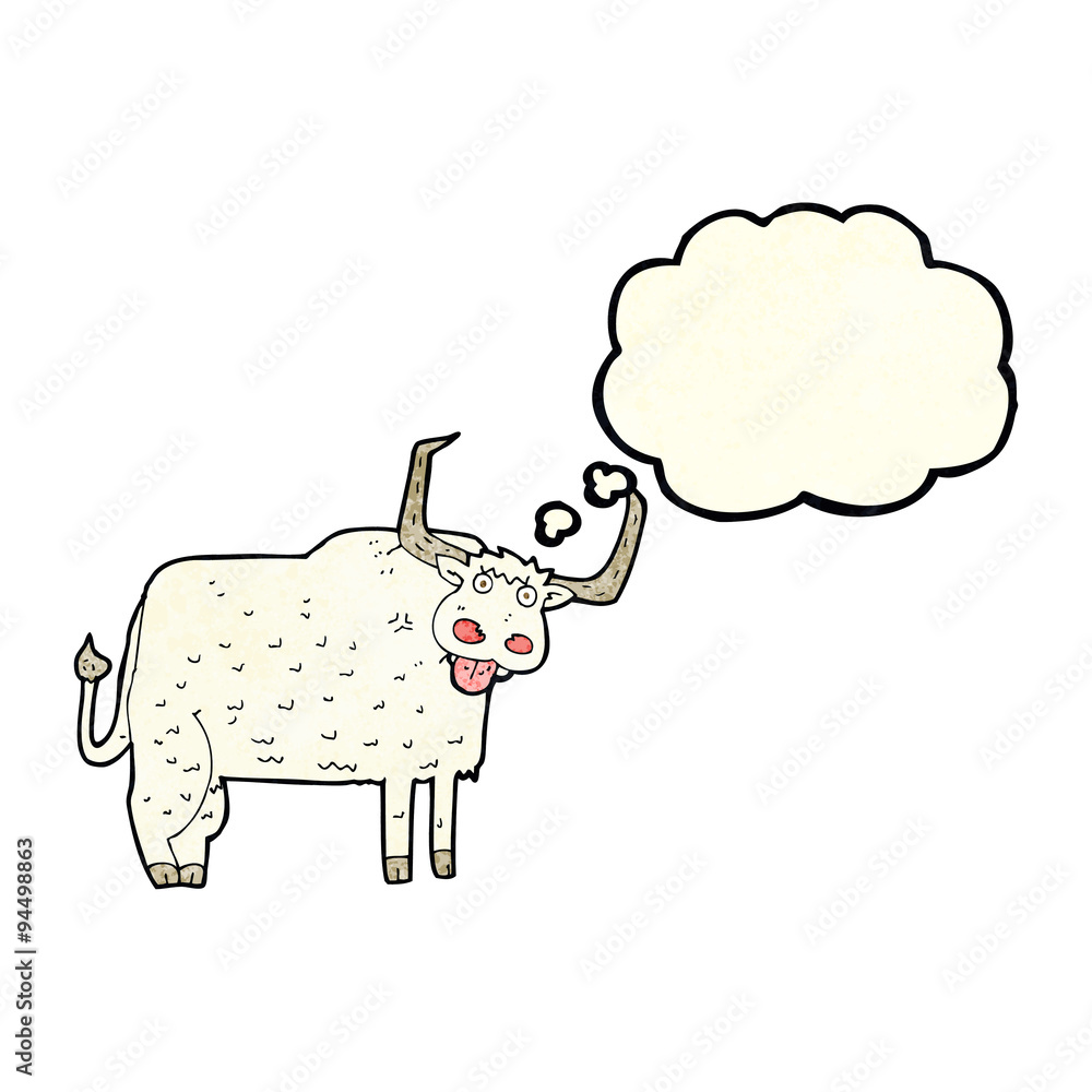 cartoon hairy cow with thought bubble cartoon hairy cow with thought bubble