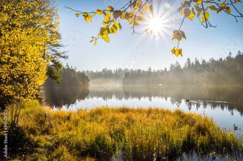 Etang de la gruère photo