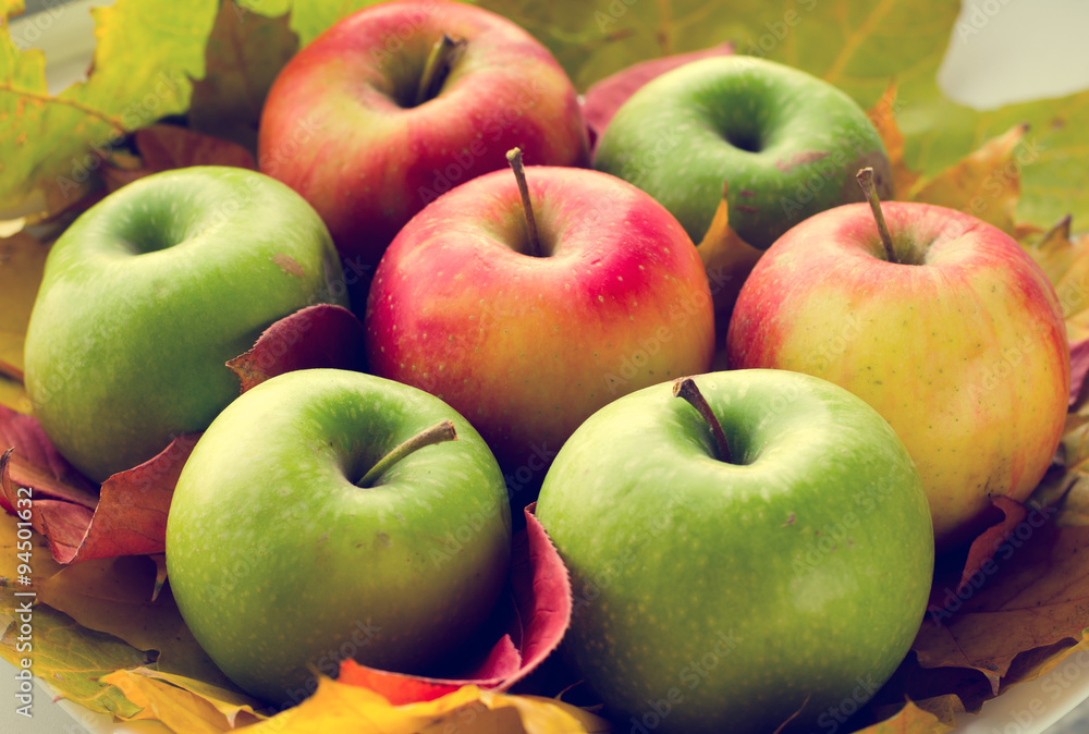 Red and green apples with autumn maple leaves Red and green apples with autumn maple leaves