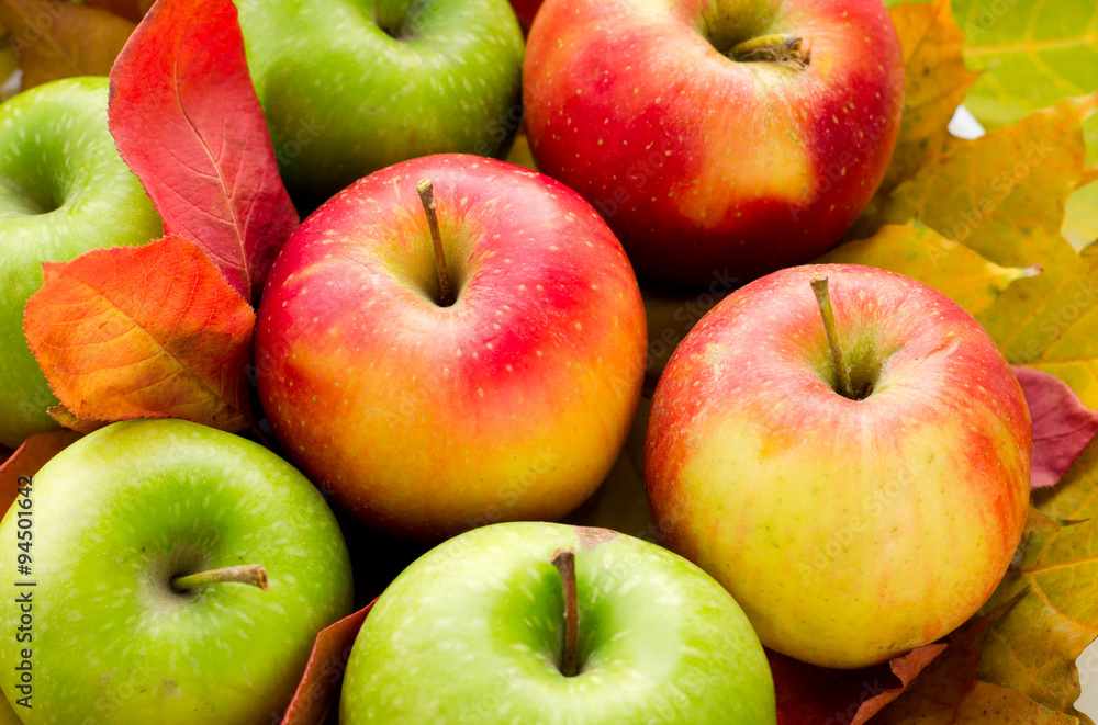 Red and green apples with autumn maple leaves Red and green apples with autumn maple leaves