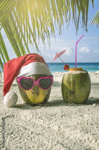Two exotic coconut in Christmas. Coconut in sunglasses with heart-shaped and cap of Santa Claus.