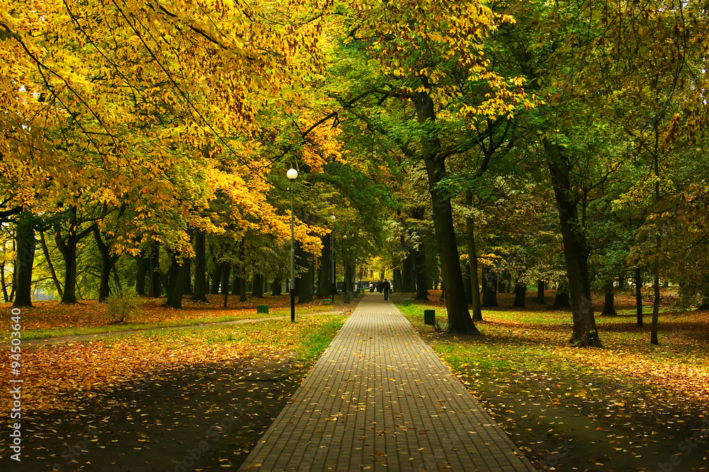 Naklejka premium Autumn Park