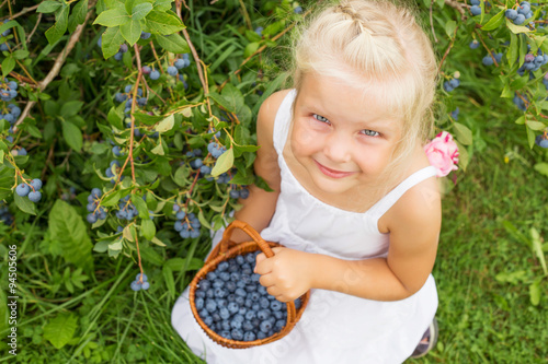 Cuadro en lienzo Girl collecting blueberries