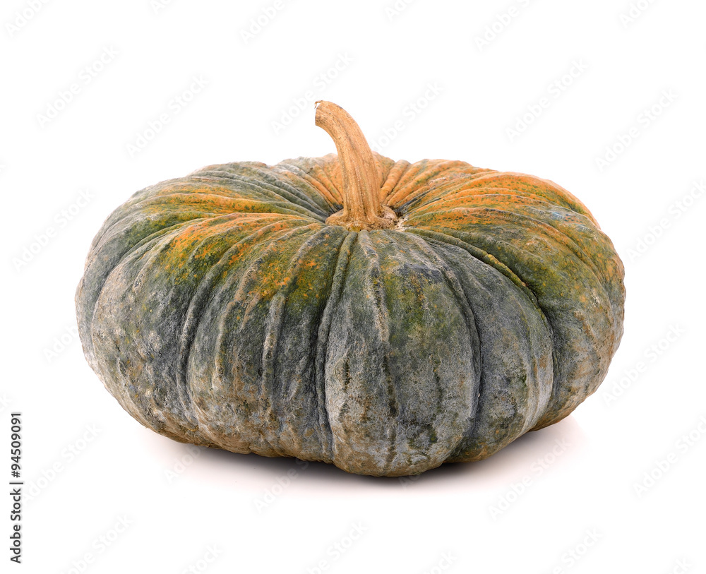 pumpkin on white background