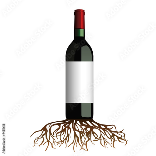 vins terroirs cépages