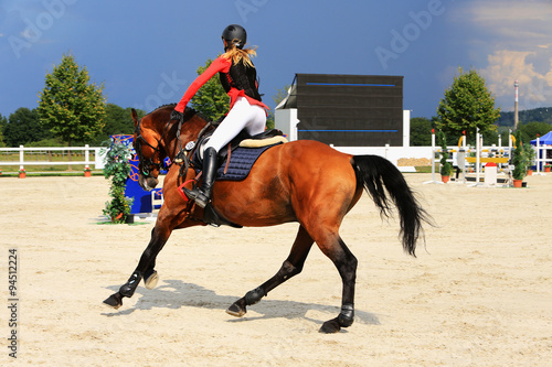 A close up shot of the side of a horse during a dressage competition.