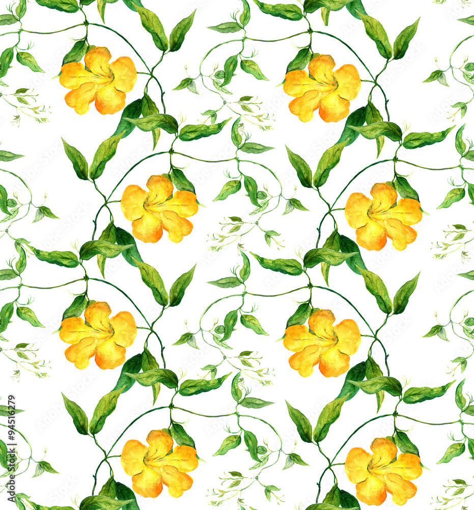 Yellow flower bindweed. Repeating floral pattern. Watercolour 