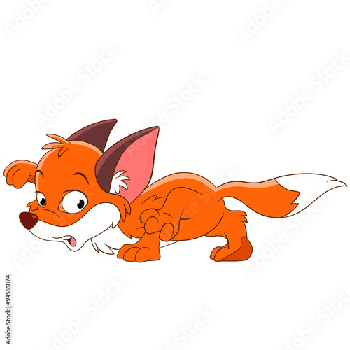 cute frightened fox
