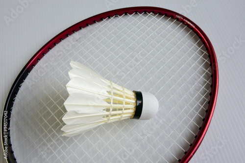 Wallpaper Mural Shuttlecock Torontodigital.ca