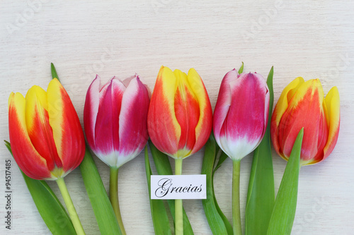 Gracias  which means thank you in Spanish  card with colorful tulips  