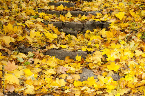 autumn leaves on stairs