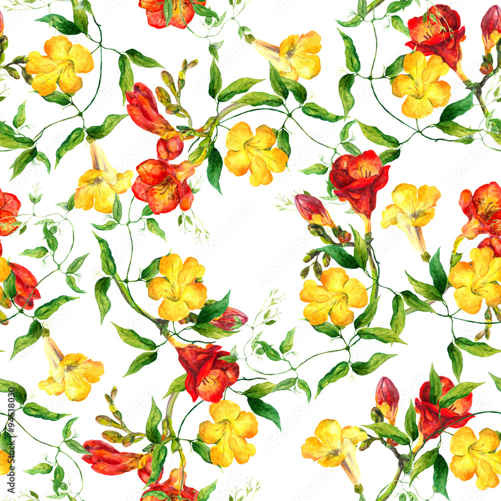 Yellow and red flowers pattern watercolor. Freesia, bindweed