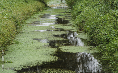 Obraz na płótnie stilles Wasser w salonie