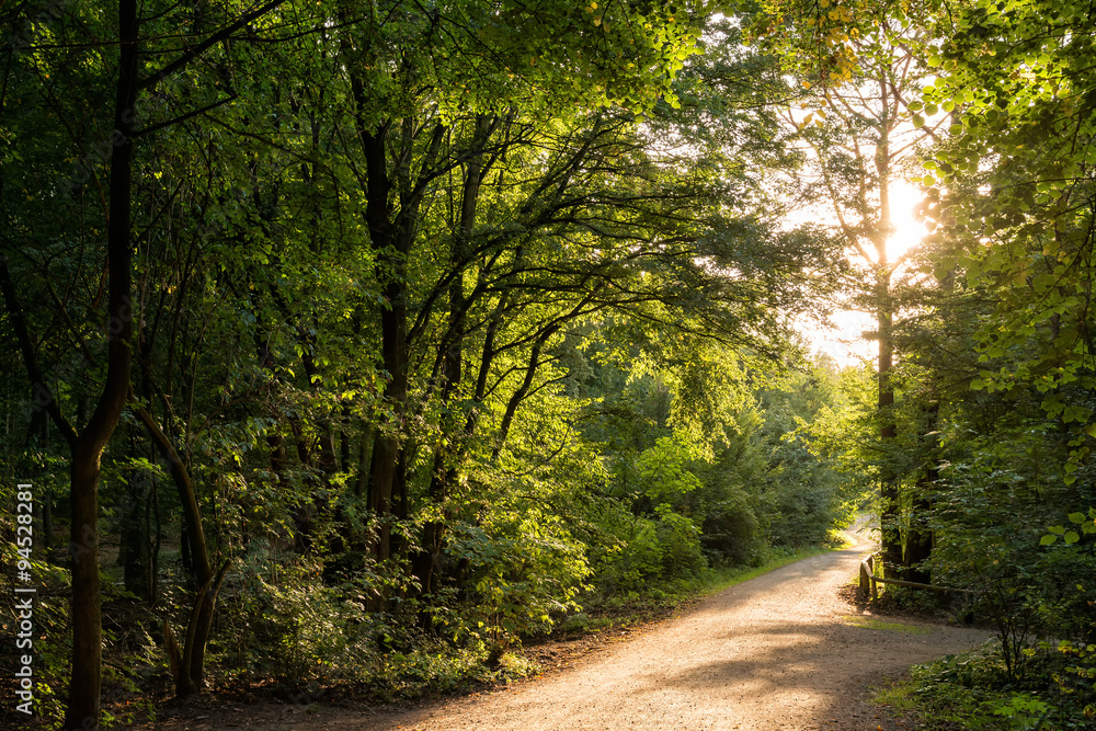 Obraz premium Herbst