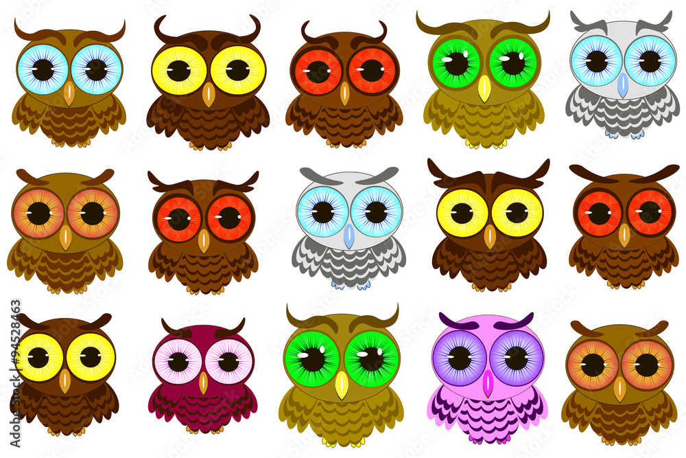 custom made wallpaper toronto digitalisolated owl vector illustration