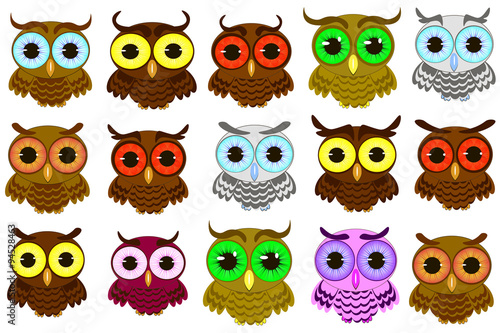 Wallpaper Mural isolated owl vector illustration Torontodigital.ca