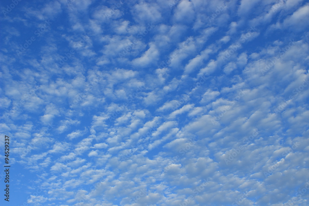 うろこ雲 うろこ雲