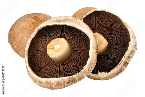 Portobello Mushrooms photo
