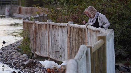 mujer dando de comer a los patos photo